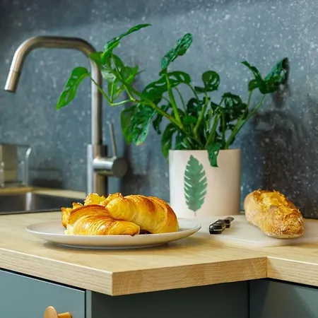 Apartamento Refait à Neuf Quartier Du Port Nice